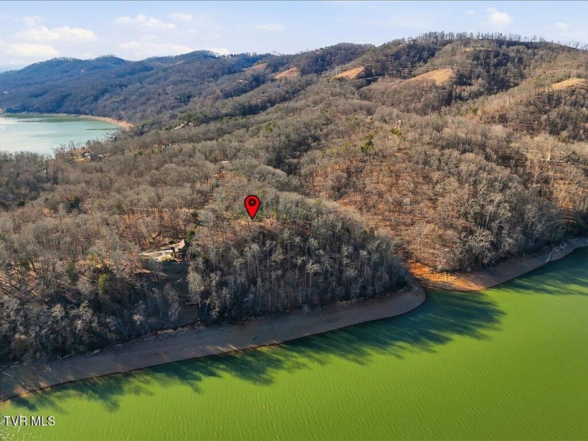 Photo #3: 339 Chelaque Way