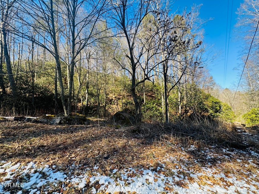 Photo #25: 220 Whitehead Hollow Road