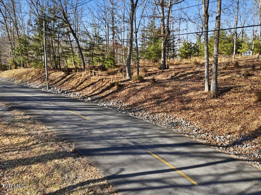 Photo #5: 339 Chelaque Way