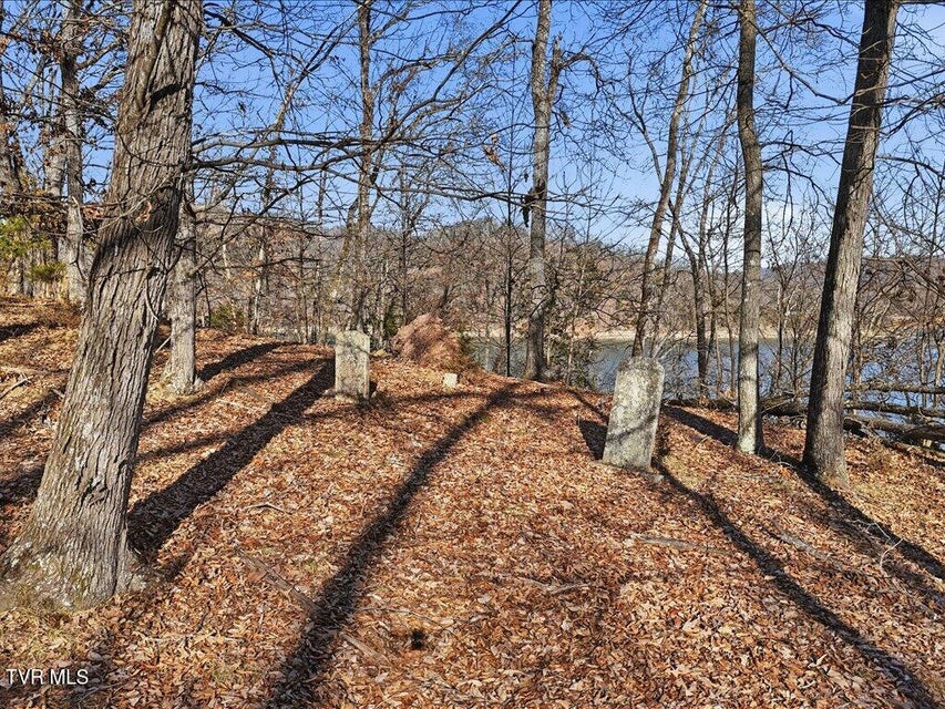 Photo #8: 339 Chelaque Way