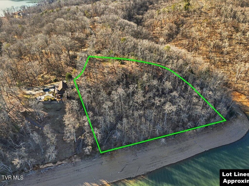 Photo #9: 339 Chelaque Way