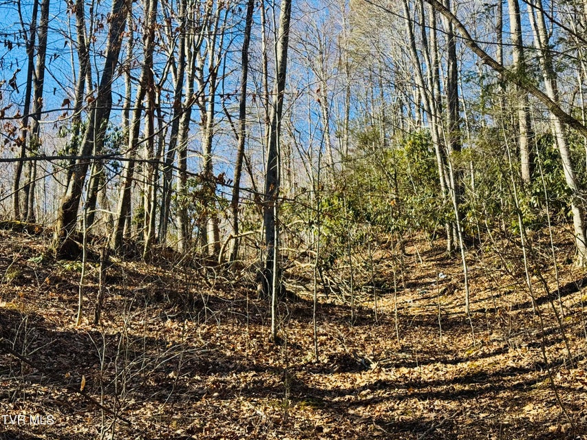 Photo #26: 220 Whitehead Hollow Road