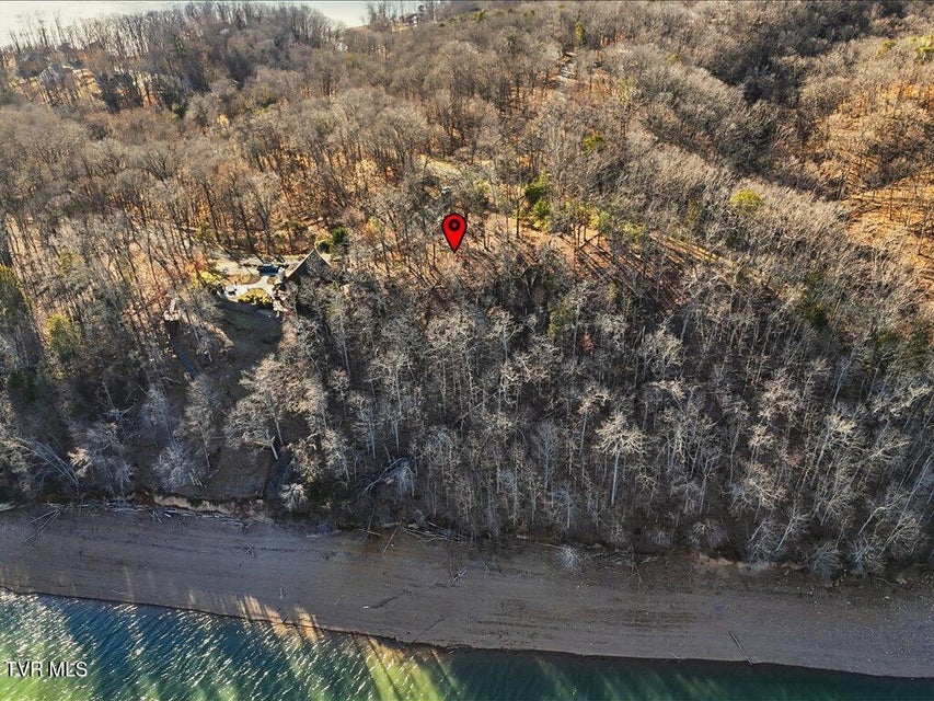 Photo #10: 339 Chelaque Way