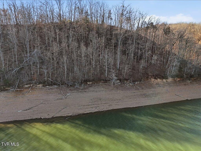 Photo #11: 339 Chelaque Way