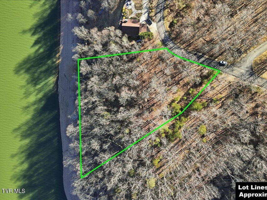 Photo #12: 339 Chelaque Way