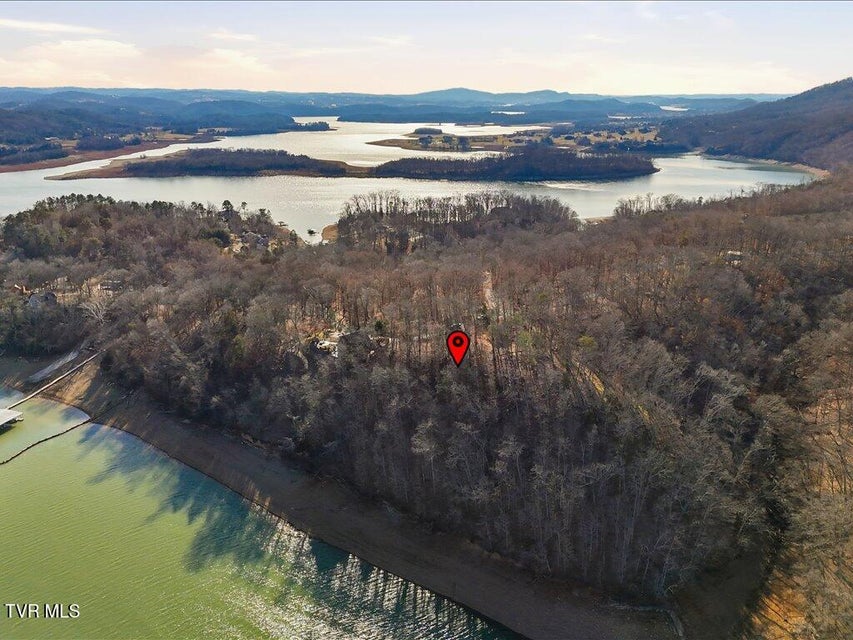 Photo #14: 339 Chelaque Way