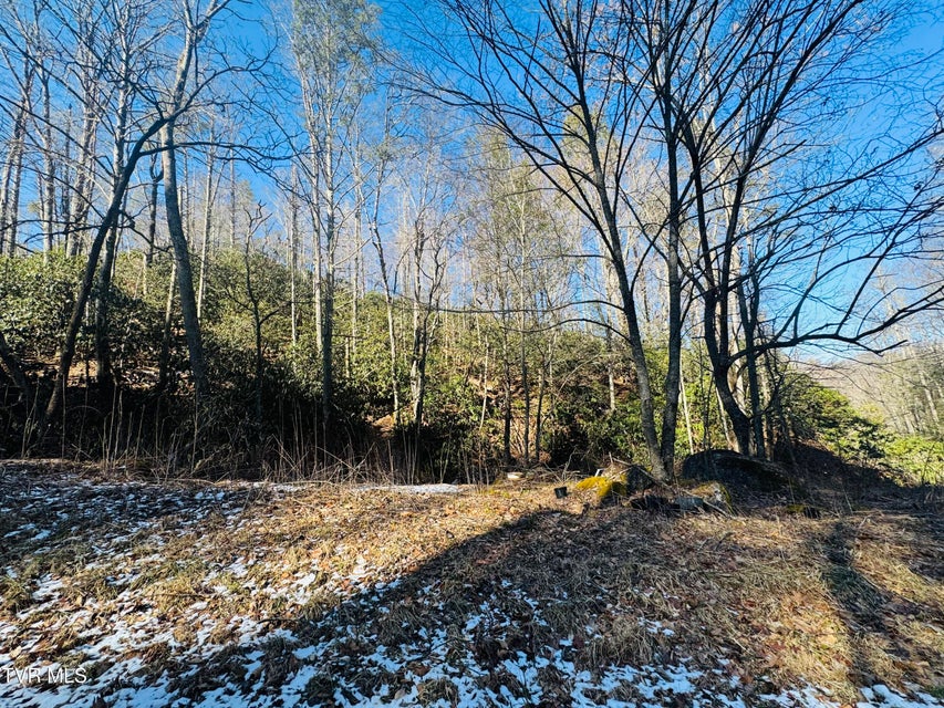 Photo #27: 220 Whitehead Hollow Road