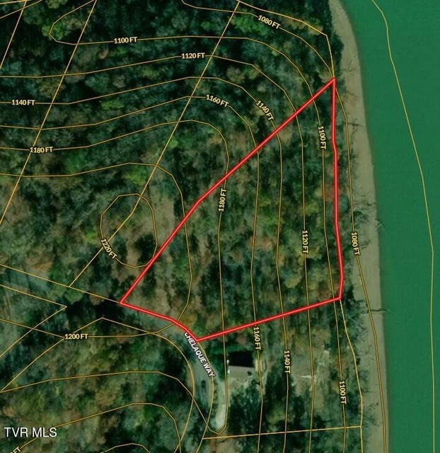 Photo #20: 339 Chelaque Way