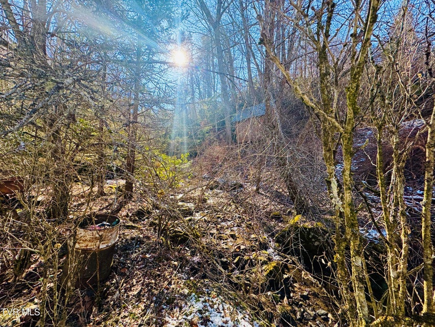 Photo #28: 220 Whitehead Hollow Road