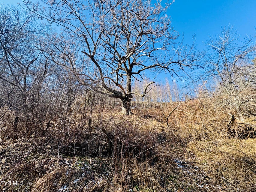 Photo #29: 220 Whitehead Hollow Road