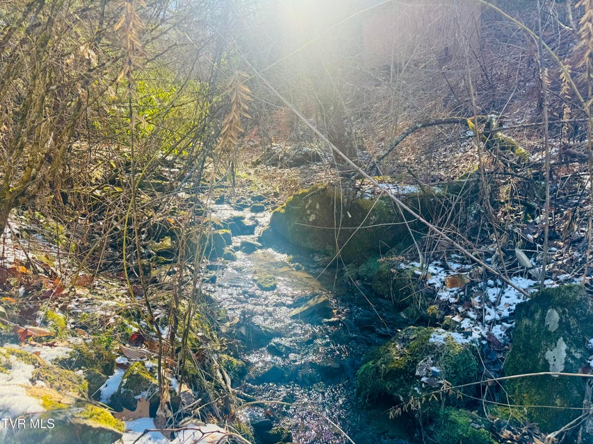 Photo #39: 220 Whitehead Hollow Road