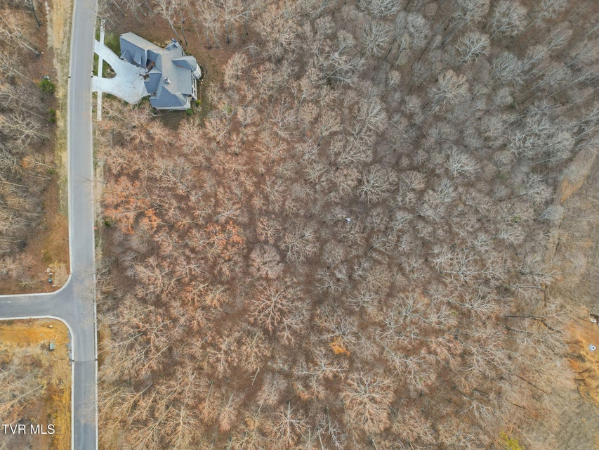 Photo #13: 2399 Old Dogwood Trail