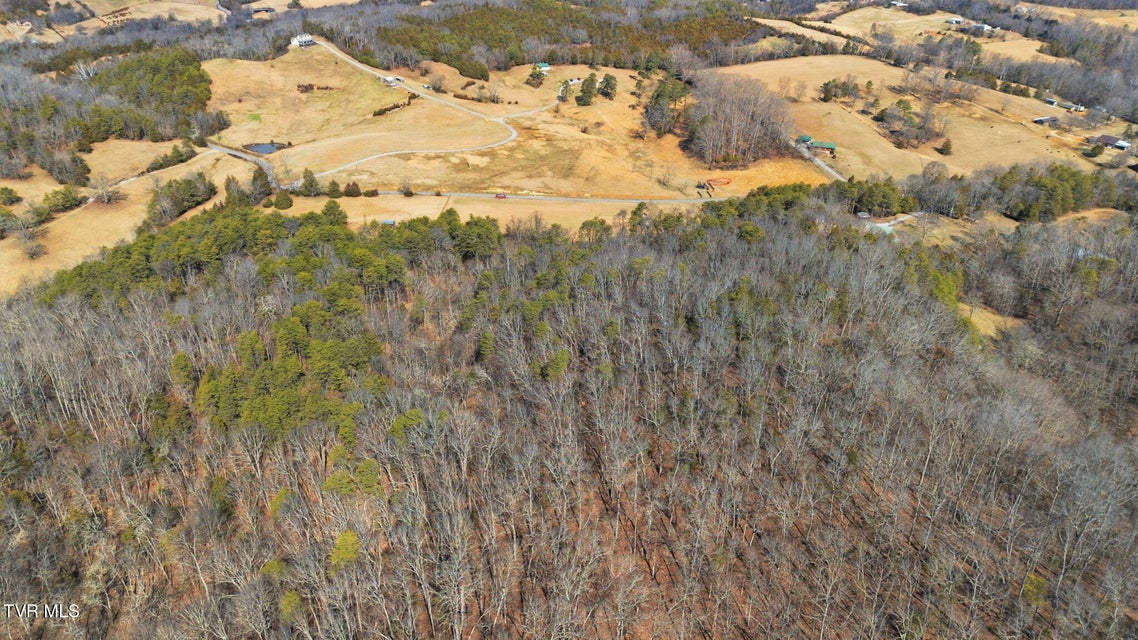 Photo #12: 1470 Snake Hollow Road