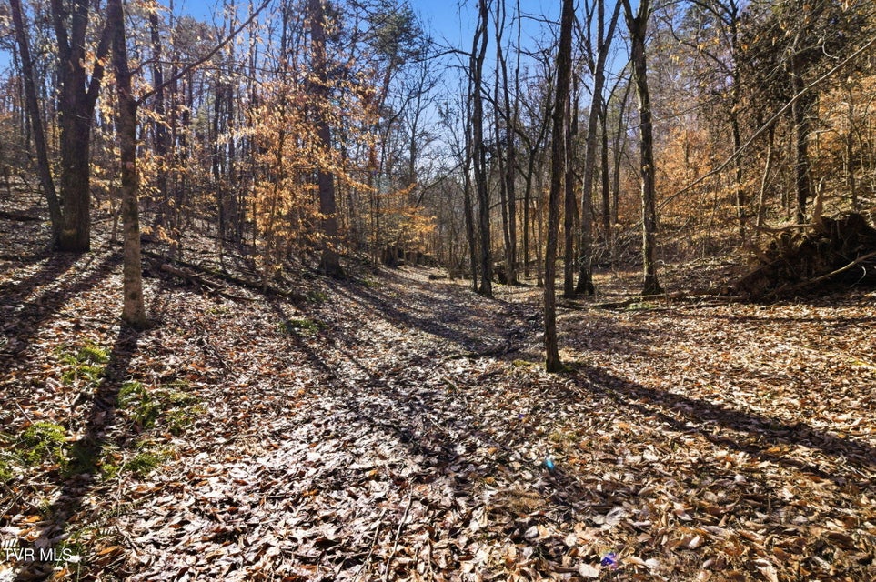 Photo #6: 1470 Snake Hollow Road