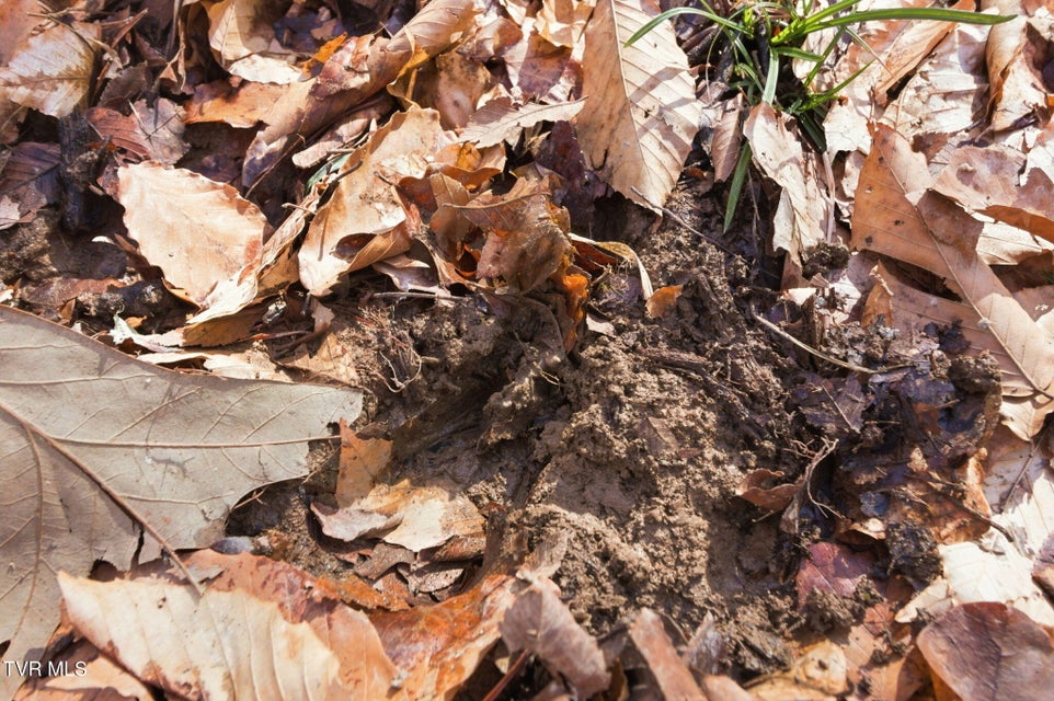 Photo #8: 1470 Snake Hollow Road