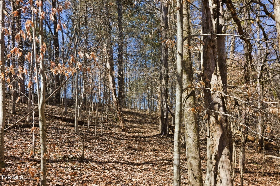 Photo #7: 1470 Snake Hollow Road