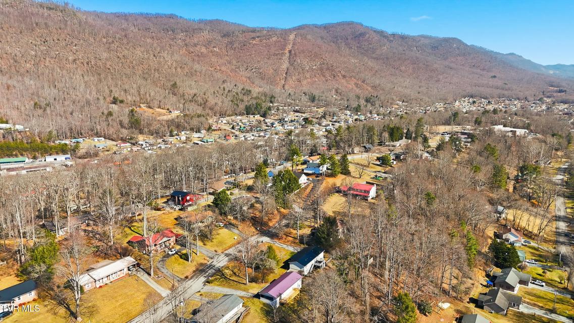 Photo #38: 1506 Mountain View Avenue