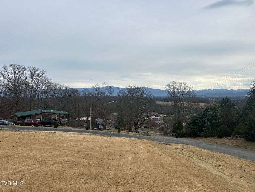 Photo #40: 1130 Hixson Avenue