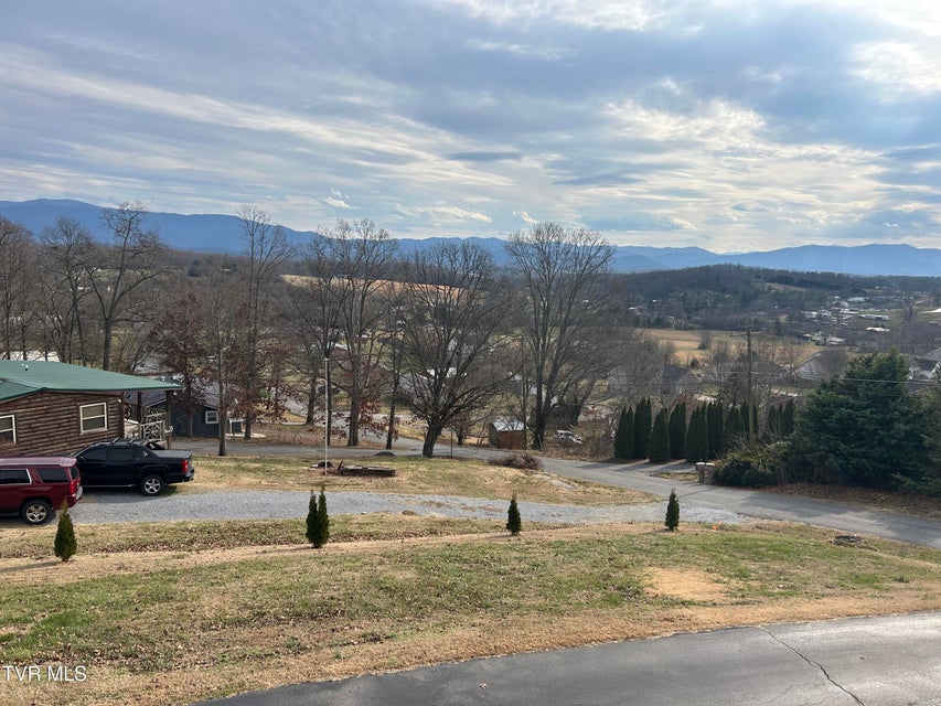 Photo #35: 1130 Hixson Avenue