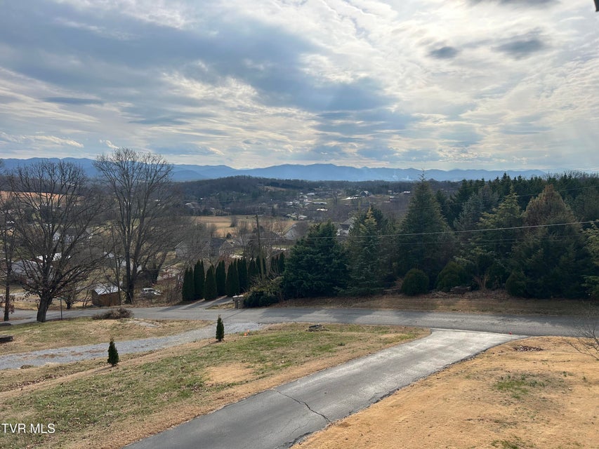 Photo #36: 1130 Hixson Avenue