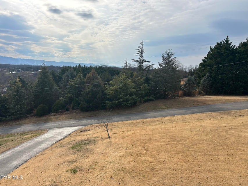 Photo #37: 1130 Hixson Avenue