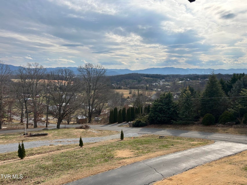 Photo #38: 1130 Hixson Avenue