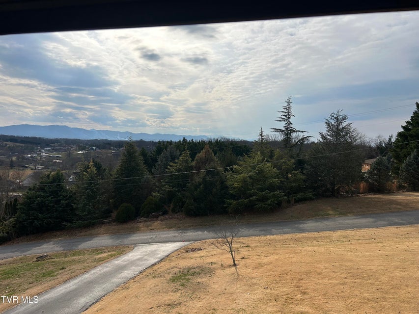 Photo #39: 1130 Hixson Avenue