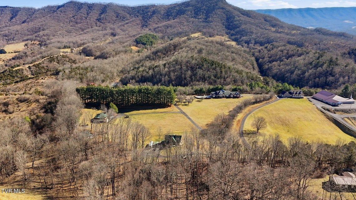 Photo #64: 251 Forbes Street