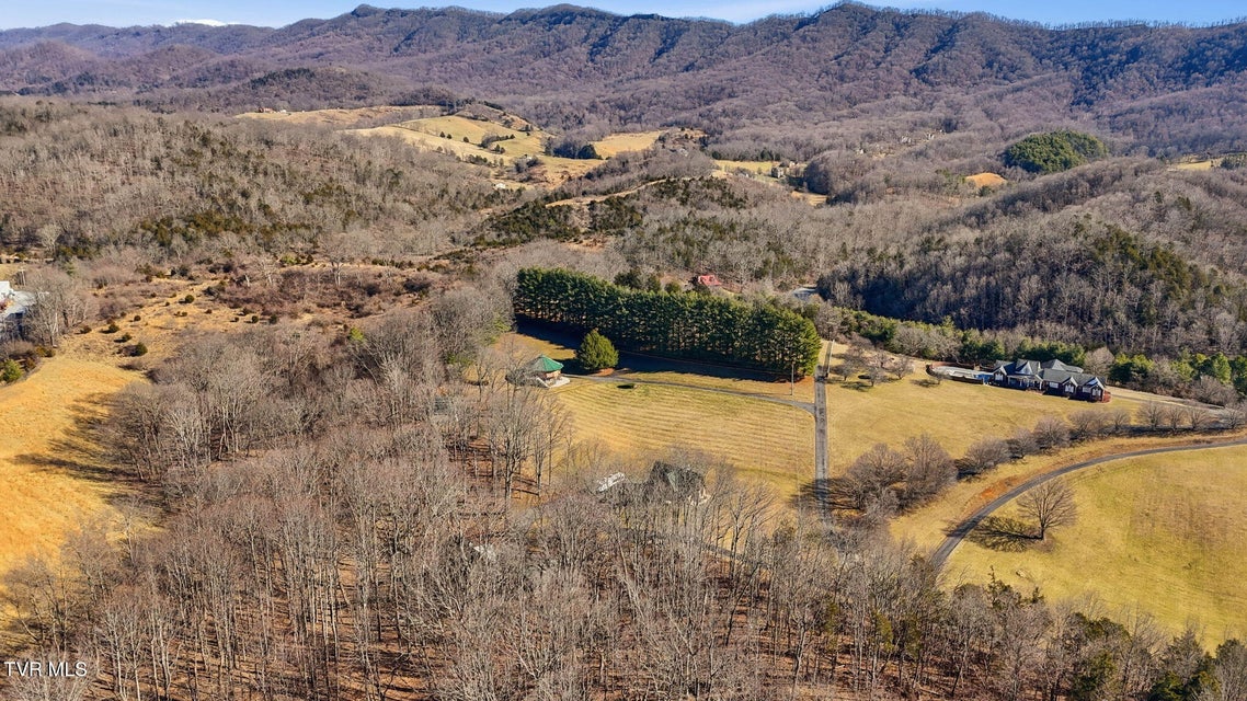 Photo #65: 251 Forbes Street