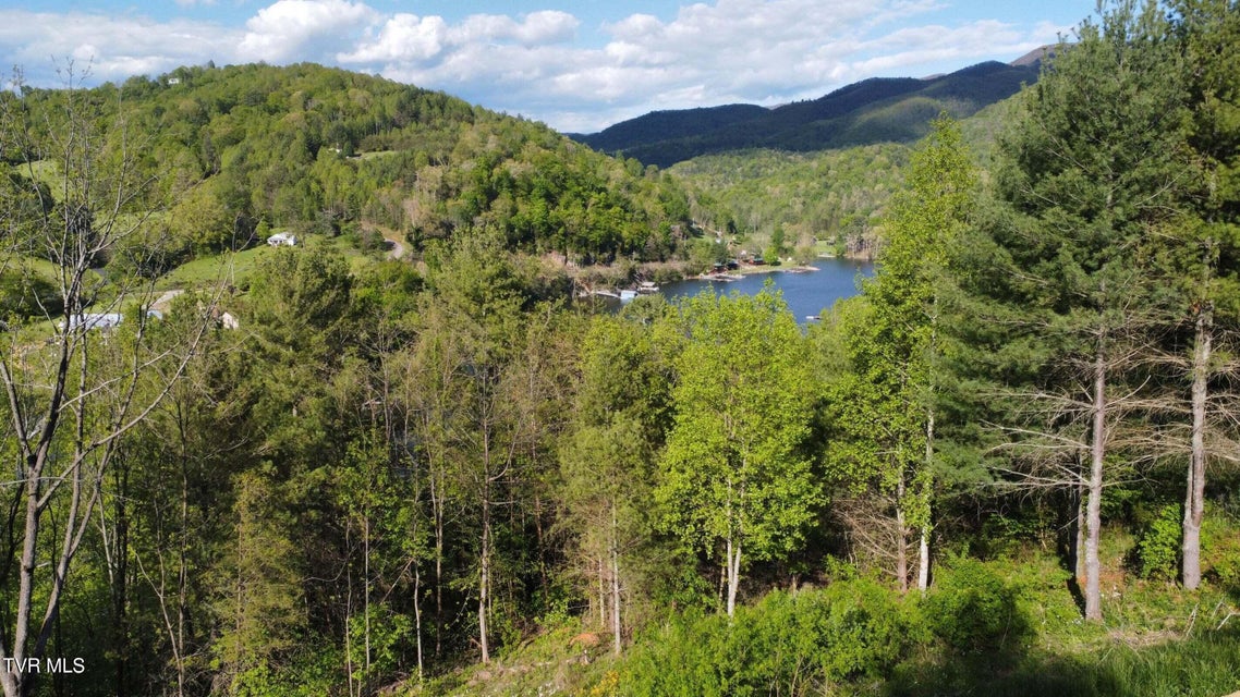 Photo #5: Lot 20 Cowan Town Road