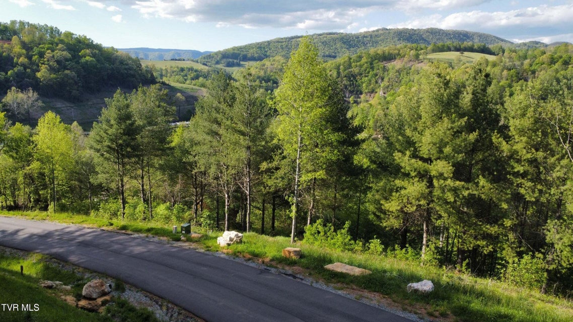 Photo #6: Lot 20 Cowan Town Road