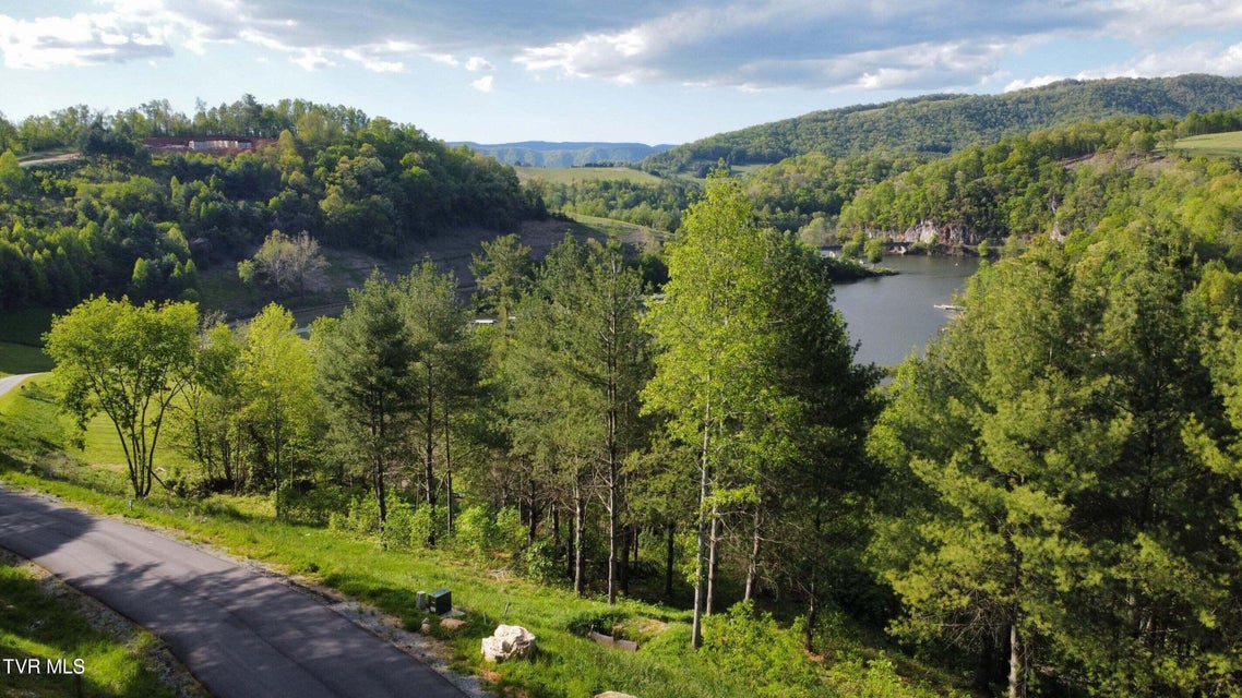 Photo #7: Lot 20 Cowan Town Road