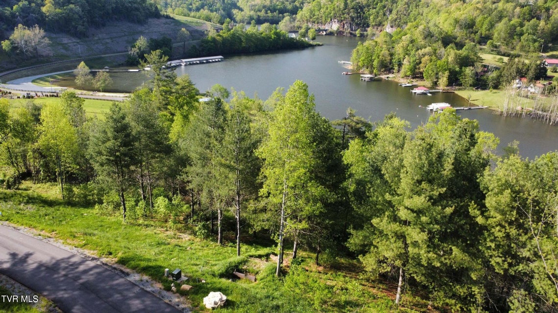 Photo #8: Lot 20 Cowan Town Road