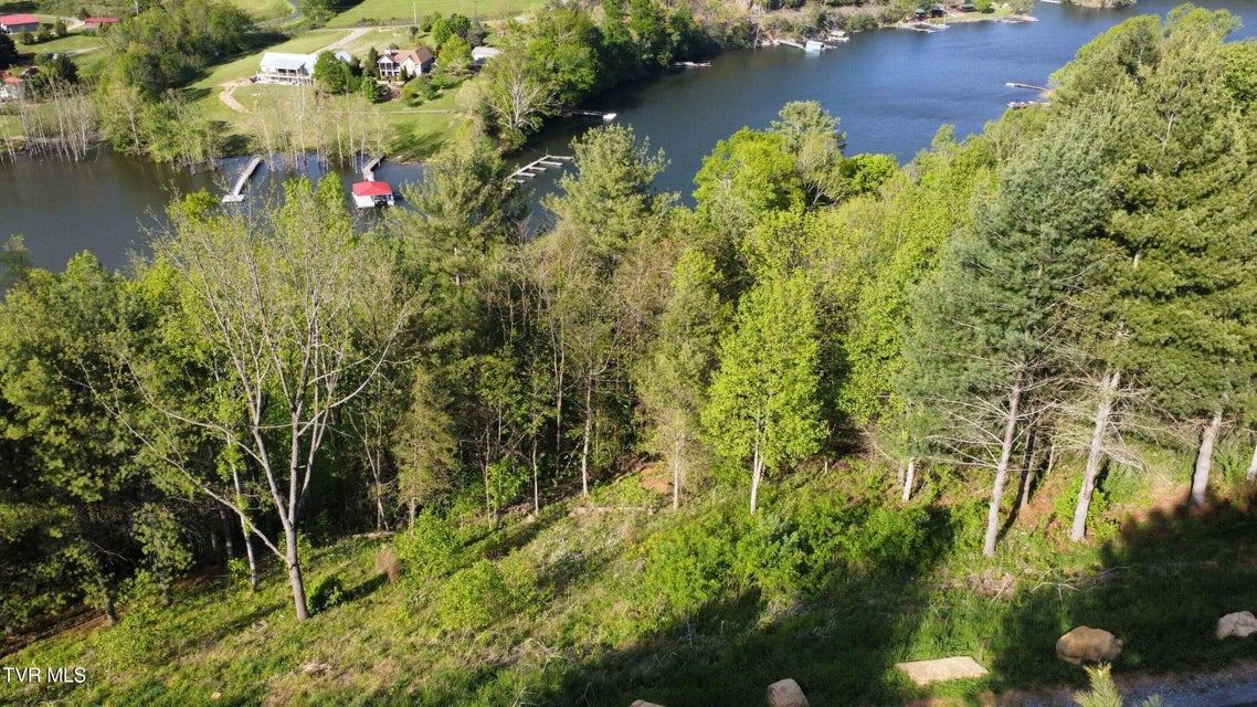 Photo #14: Lot 20 Cowan Town Road