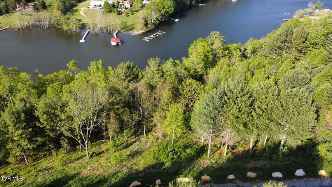 Photo #16: Lot 20 Cowan Town Road