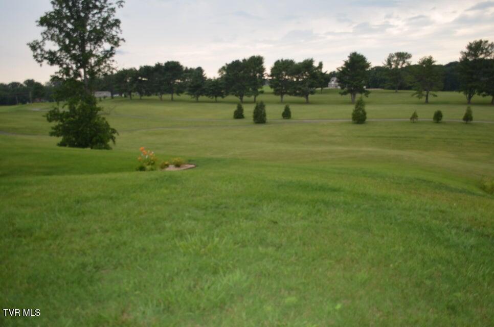 Photo #2: Lot 7 R Golf Villa Drive