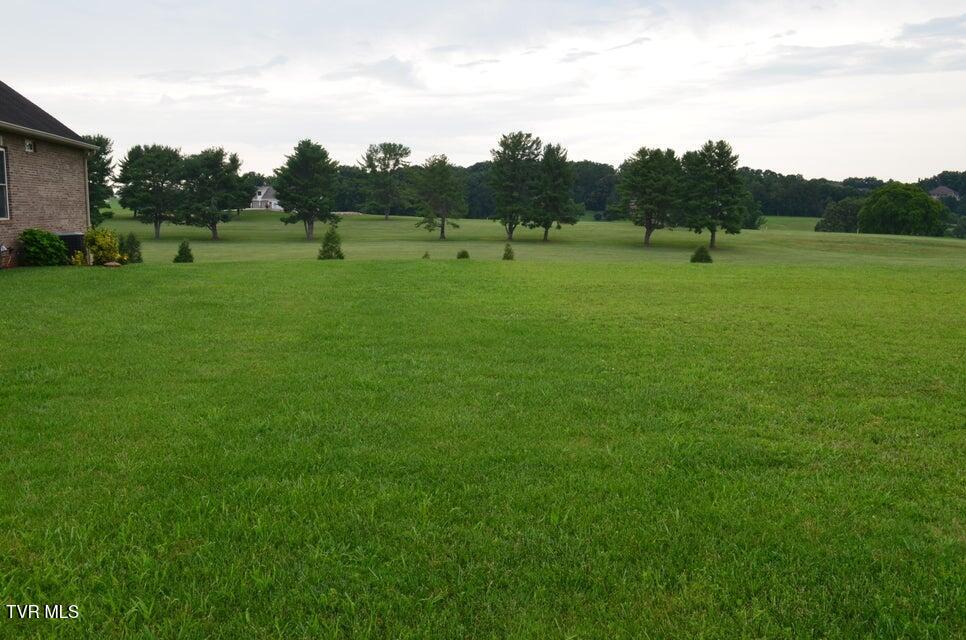 Photo #5: Lot 7 R Golf Villa Drive