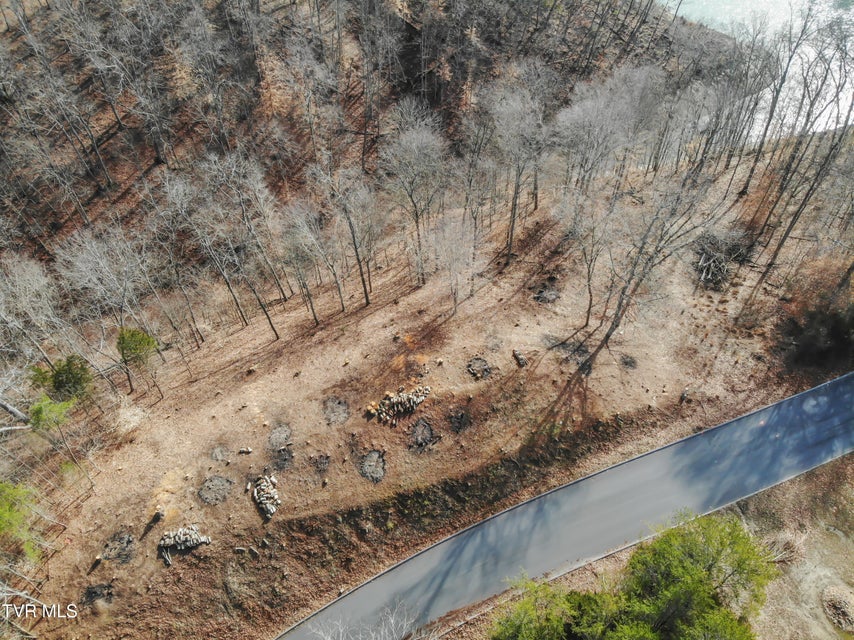 Photo #8: 101 Pointe Drive