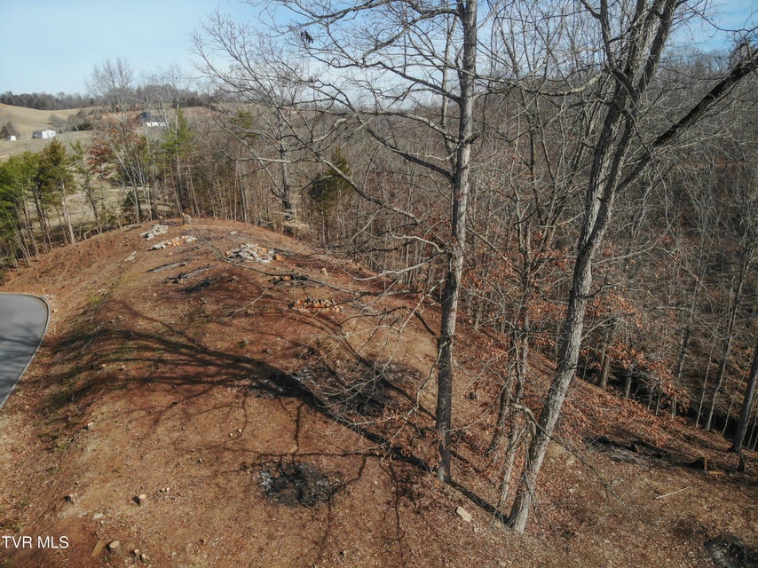 Photo #13: 101 Pointe Drive