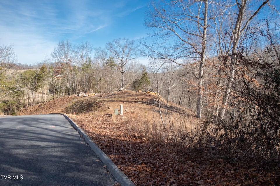 Photo #14: 101 Pointe Drive