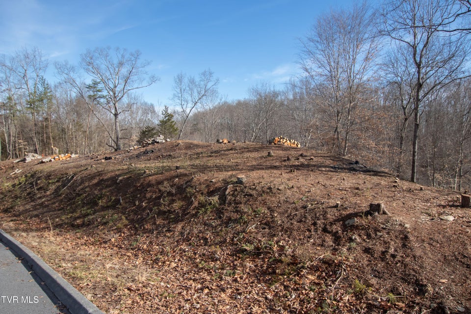 Photo #15: 101 Pointe Drive