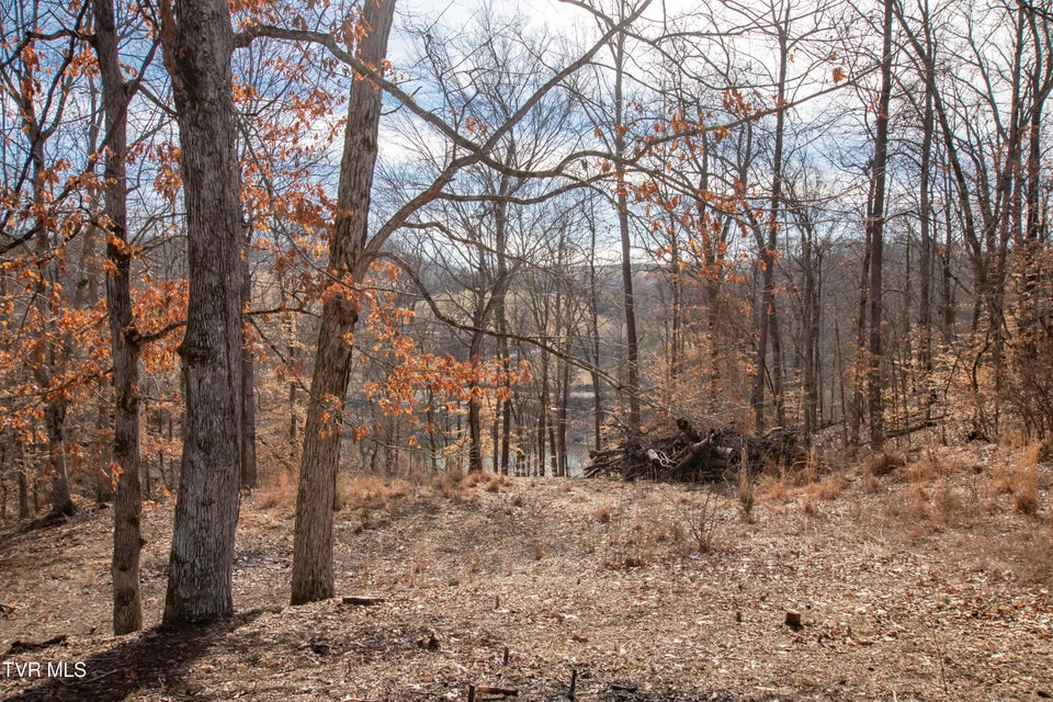 Photo #16: 101 Pointe Drive