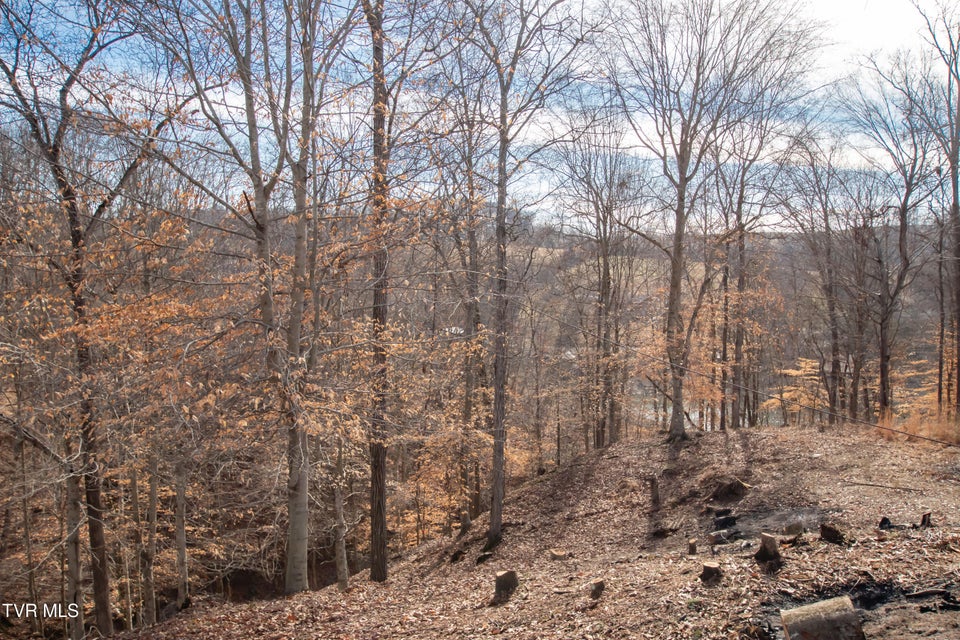 Photo #17: 101 Pointe Drive