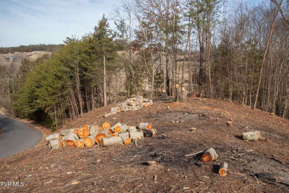 Photo #18: 101 Pointe Drive