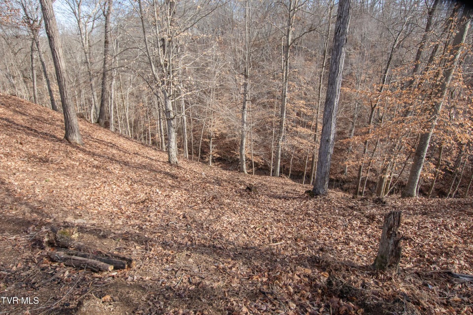 Photo #19: 101 Pointe Drive