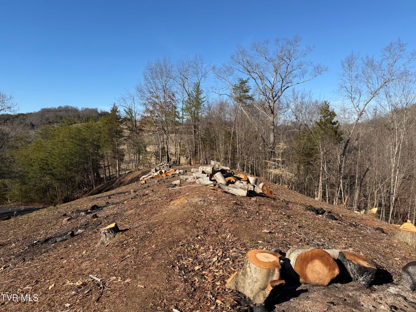 Photo #22: 101 Pointe Drive