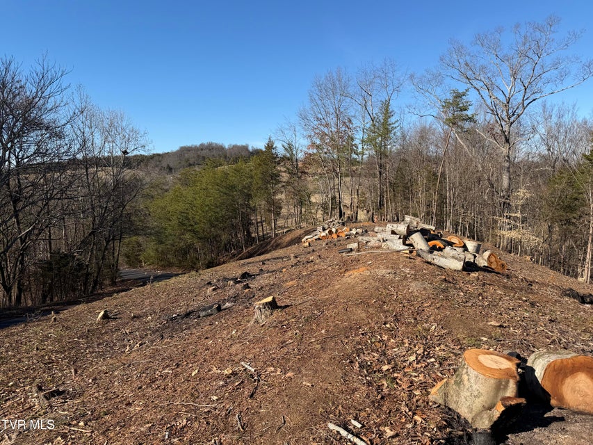 Photo #23: 101 Pointe Drive