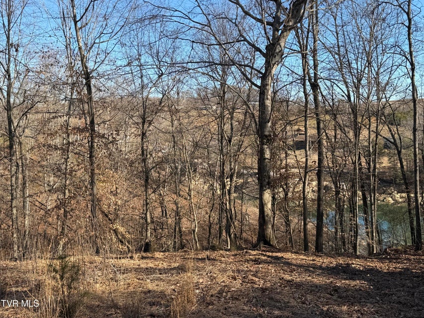 Photo #24: 101 Pointe Drive