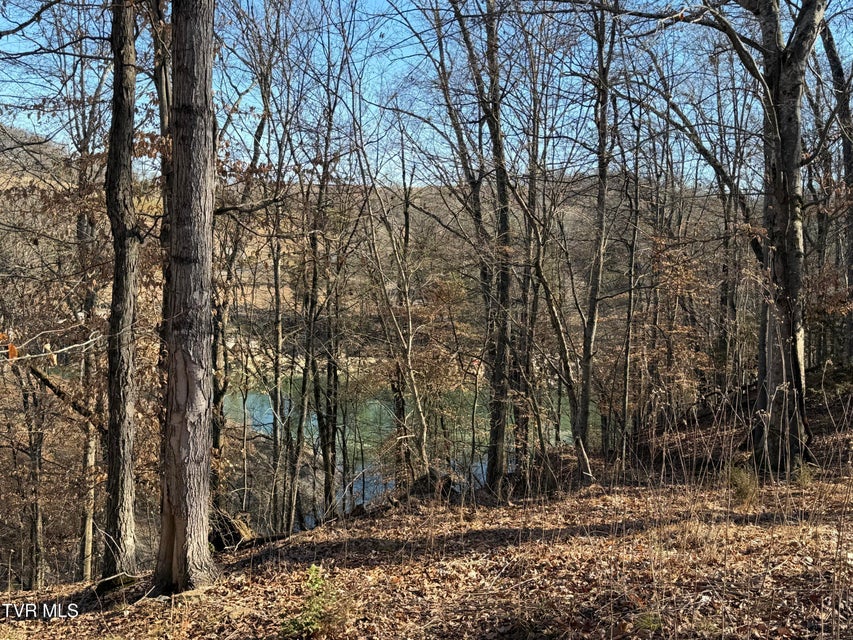 Photo #2: 101 Pointe Drive