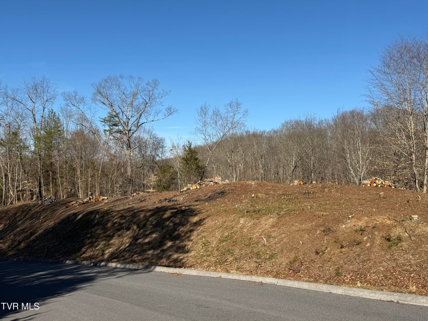 Photo #27: 101 Pointe Drive